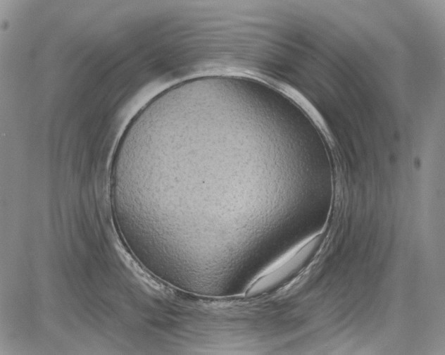 X0000084051004200703022210