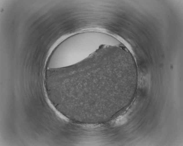 X0000084051005200703022210