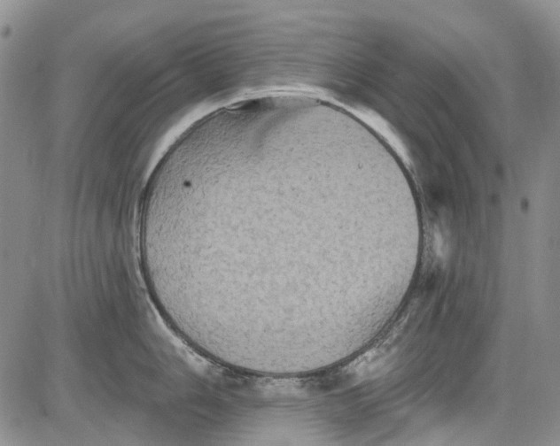 X0000084051006200703022210