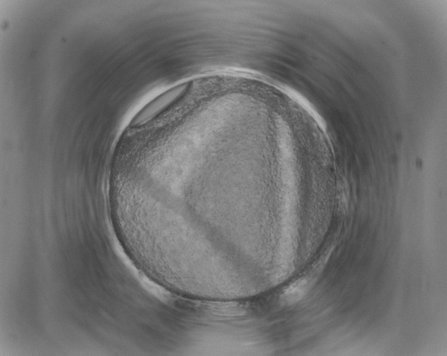 X0000084051007200703022210