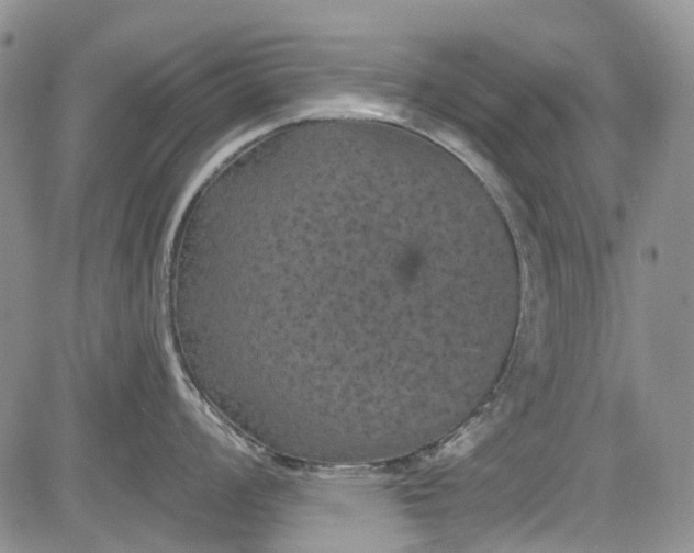 X0000084051008200703022210