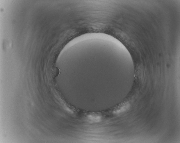 X0000084051009200703022209