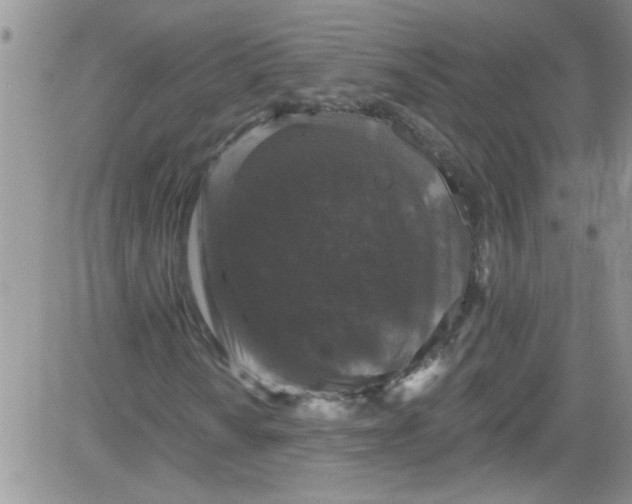 X0000084051010200703022209