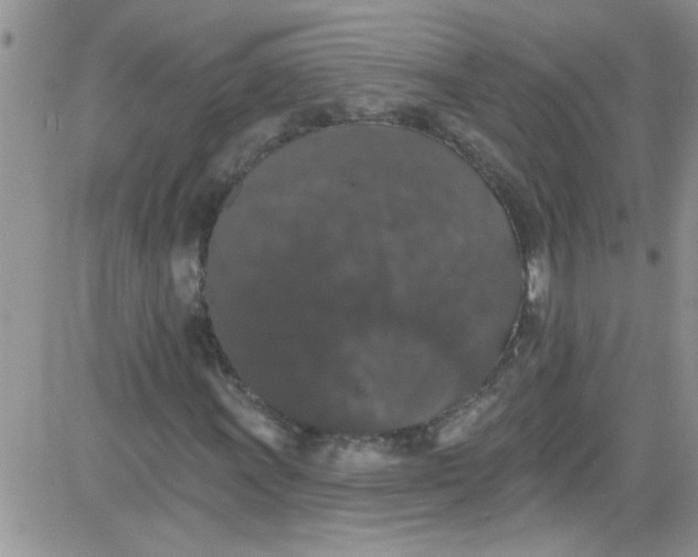 X0000084051011200703022209