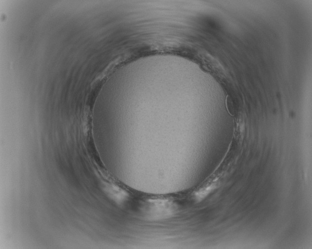 X0000084051012200703022209