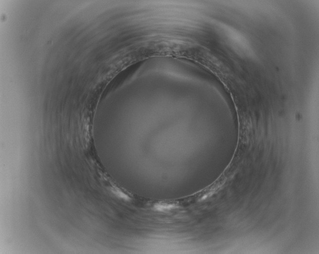 X0000084051013200703022209