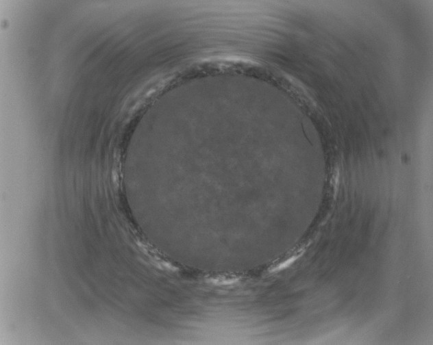 X0000084051014200703022209