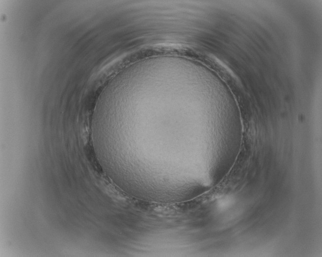 X0000084051015200703022209