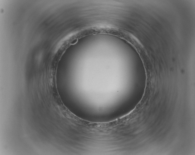 X0000084051016200703022209