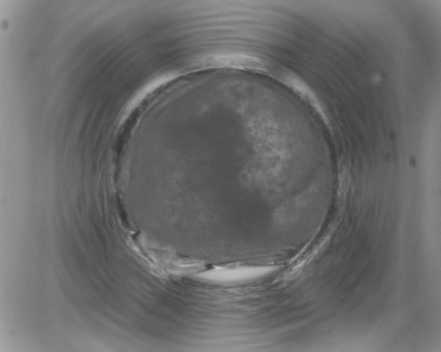 X0000084051019200703022209