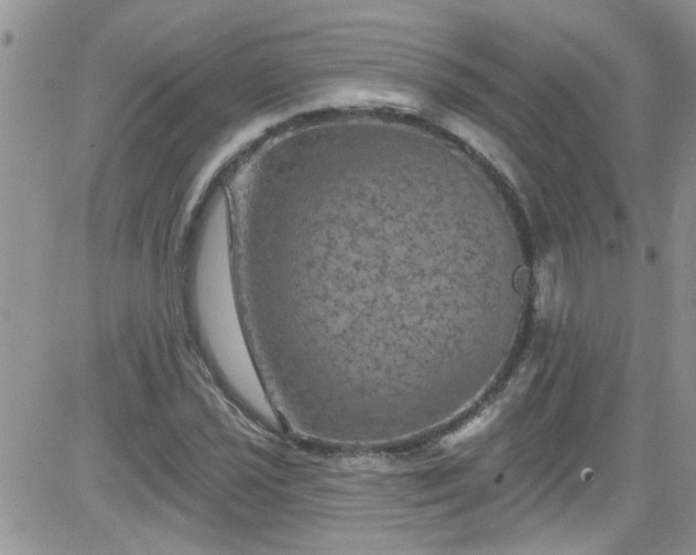 X0000084051021200703022209