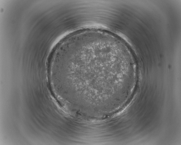 X0000084051022200703022209