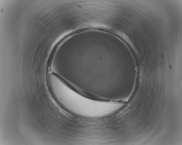 X0000084051024200703022209