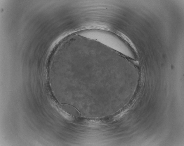 X0000084051027200703022209