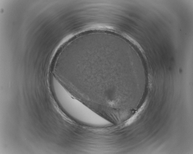 X0000084051029200703022209