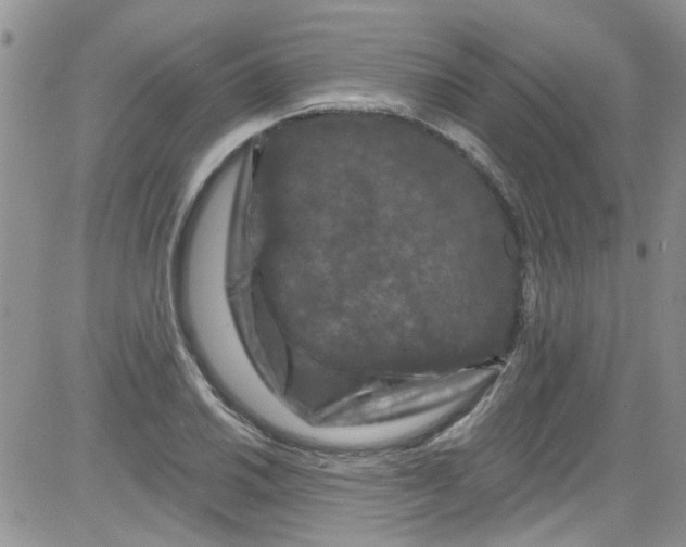 X0000084051030200703022209