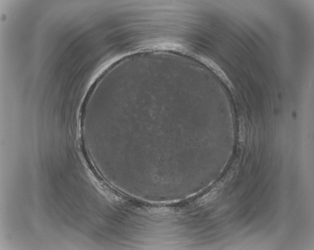 X0000084051031200703022209