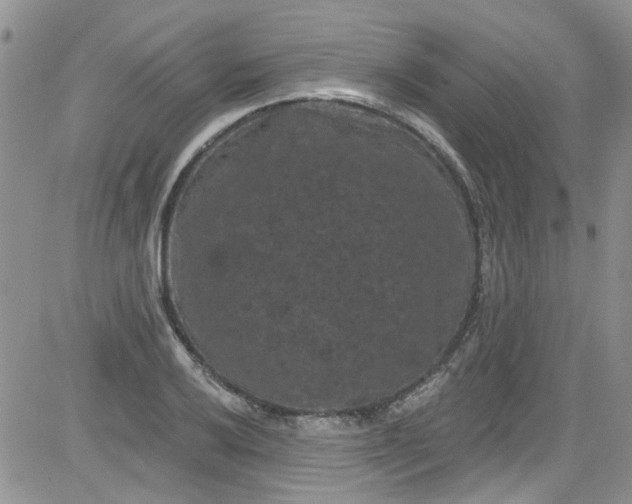 X0000084051032200703022209