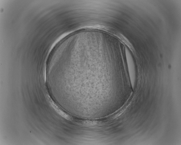 X0000084051036200703022209