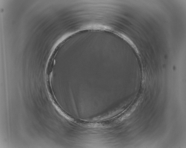 X0000084051037200703022209