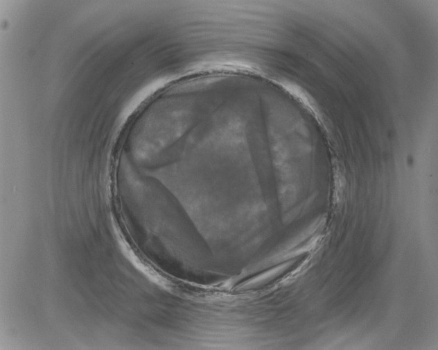 X0000084051038200703022209