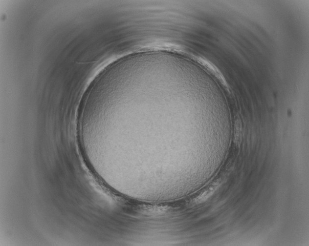 X0000084051039200703022209