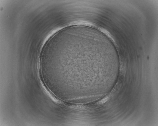 X0000084051040200703022209