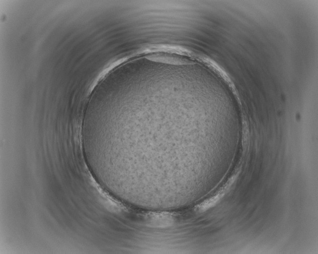 X0000084051041200703022209