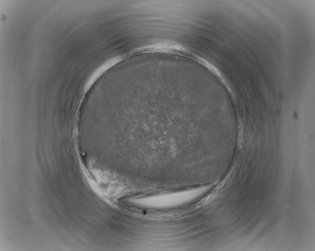 X0000084051042200703022209