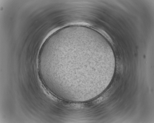 X0000084051044200703022209