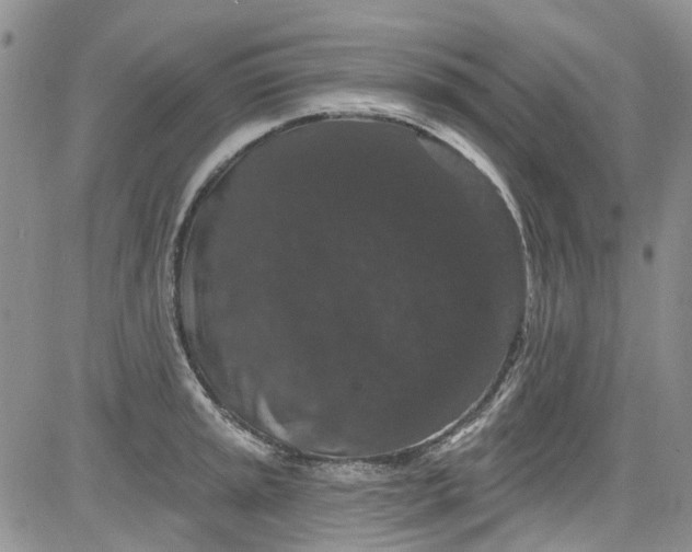 X0000084051045200703022209