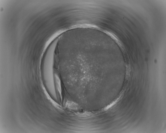 X0000084051046200703022210