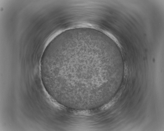 X0000084051047200703022210