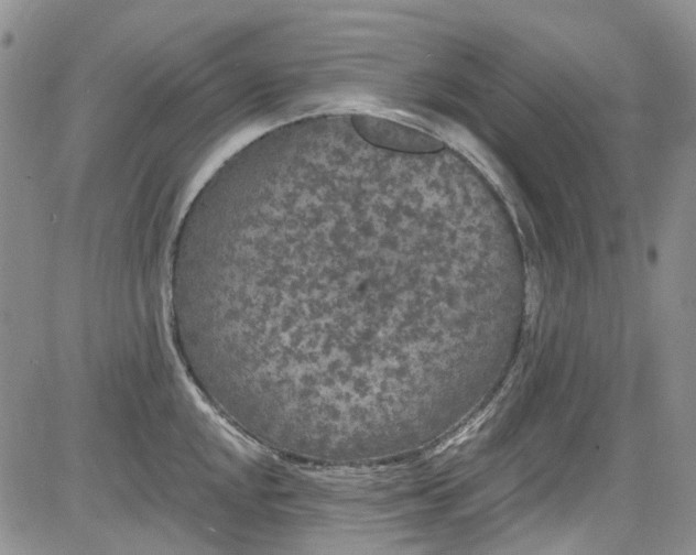 X0000084051048200703022210