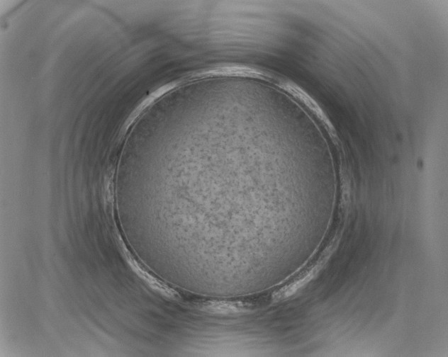 X0000084051049200703022210