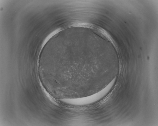 X0000084051050200703022210