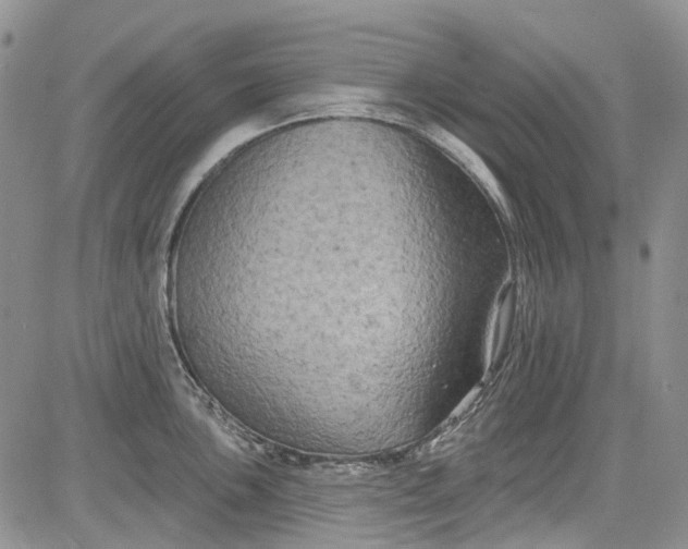 X0000084051051200703022210