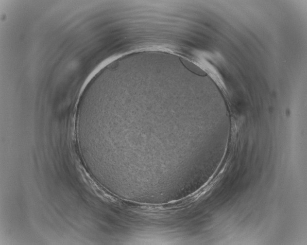 X0000084051052200703022210