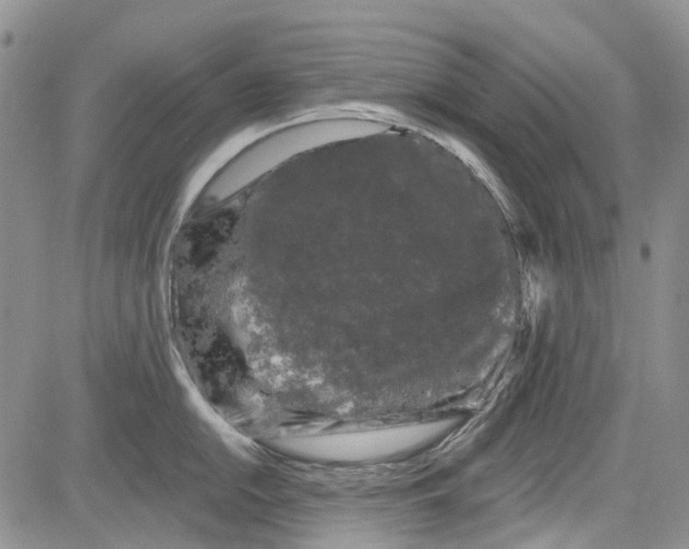 X0000084051054200703022210