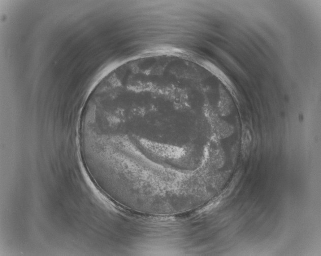 X0000084051055200703022210