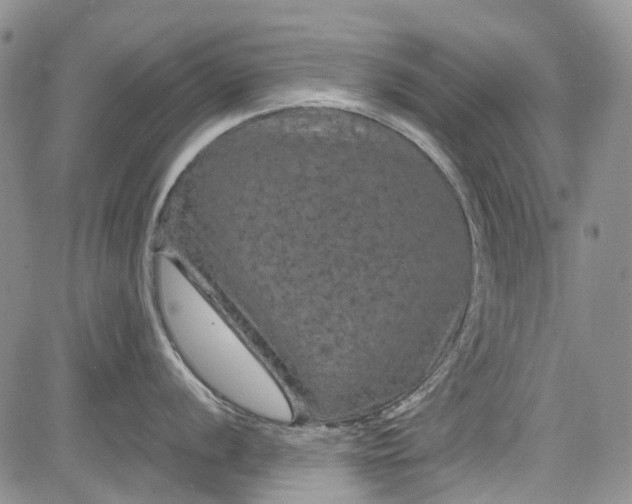 X0000084051056200703022210