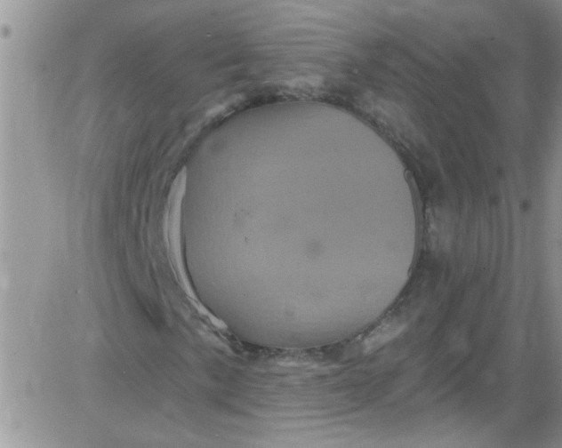 X0000084051057200703022209