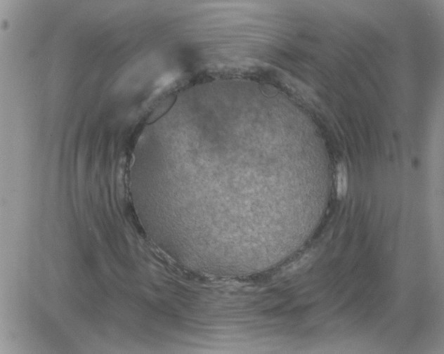 X0000084051059200703022209