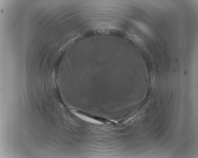 X0000084051060200703022209