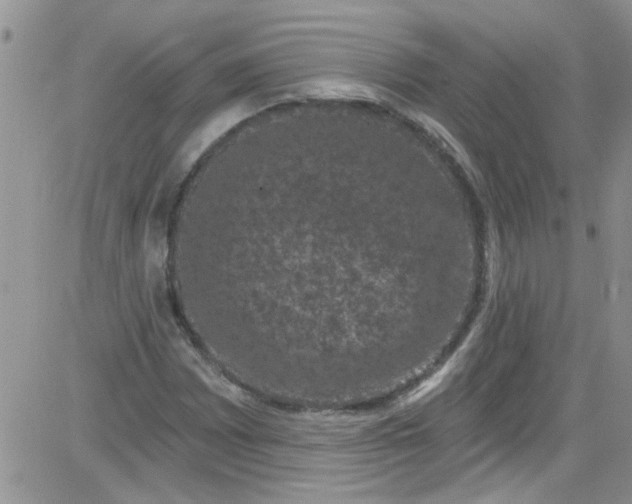 X0000084051065200703022209