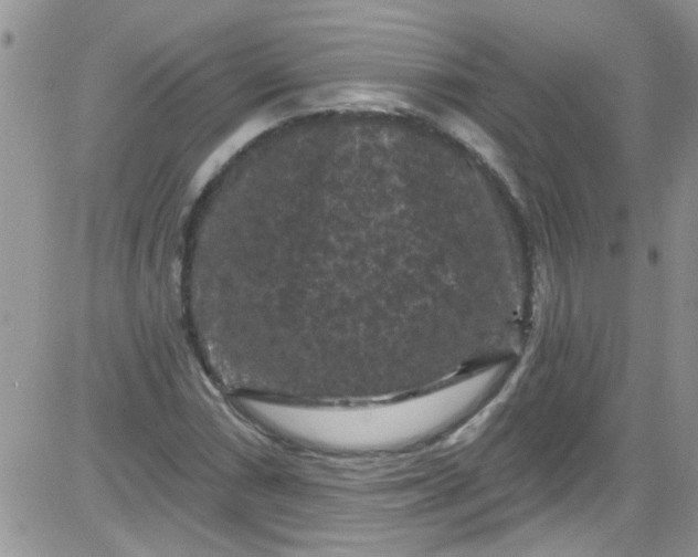 X0000084051066200703022209