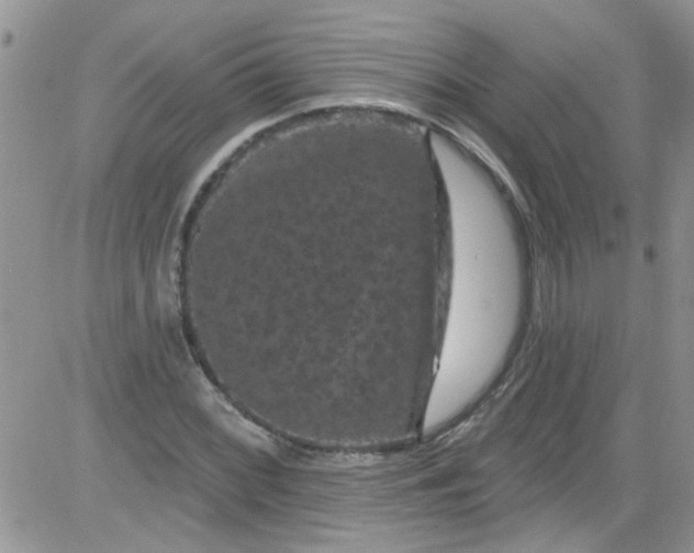 X0000084051068200703022209