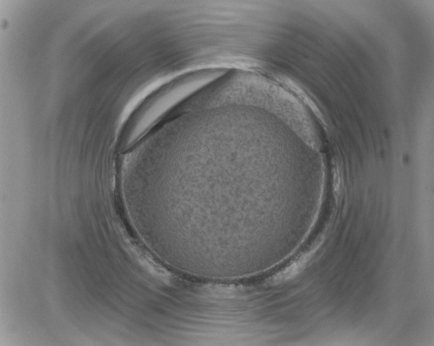 X0000084051069200703022209