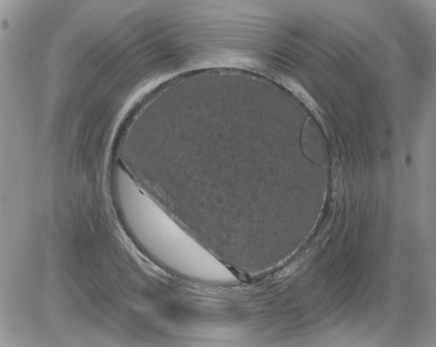 X0000084051072200703022209