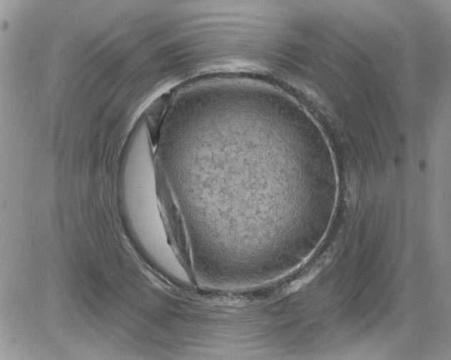 X0000084051073200703022209